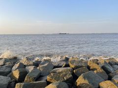 -上海滨江森林公园