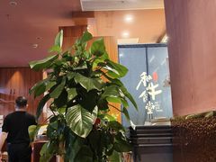 -和牛食堂•BISTRO(广州首店)