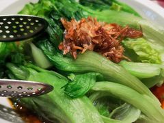 葱油罗马生菜-西贝莜面村(近铁城市广场店)