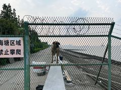 -上海滨江森林公园