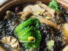 养生菌汤-享月汤皇·海鲜小火锅·聚会(曲江创意谷店)