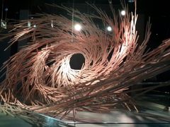 android_upload_pic-溱湖国家湿地公园