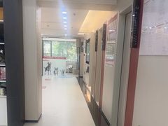 -御宝贝24h宠物医院·转诊中心·CT核磁血透中心(厦门总院)