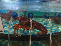 -田园·晶品会(鹤庆路店)