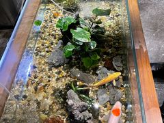 -新盈光·旗舰店(海曙苍松路店)