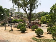 -莲花池公园