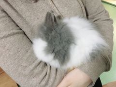 -藦茜花园宠物主题亲子互动体验馆(国顺东路店)