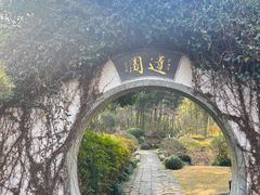-龙井草堂