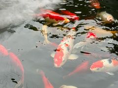 -濮园 · 四合院餐厅
