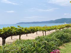 -三亚亚龙湾天域度假酒店