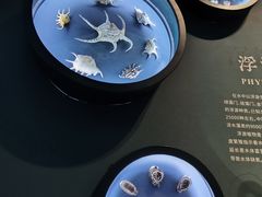 -中国湿地博物馆