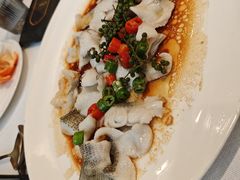 -金粤九号(李公堤店)