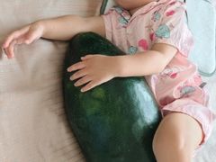 -南海渔村·徐博馆(琶洲店-粤菜养生宴)