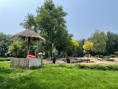 -北京野生动物园