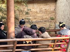 -中国西峡恐龙遗迹园