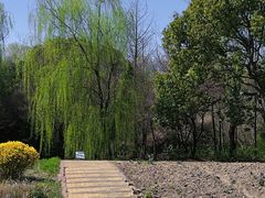-同里国家湿地公园