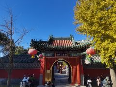 -大槐树烤肉馆