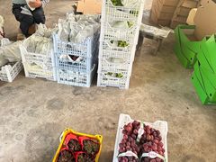 -马陆小张葡萄园农家乐