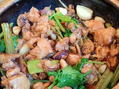 沙姜嗜鸡-煲煲好(朝阳门店)