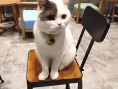 -凯德广场(武胜路店)