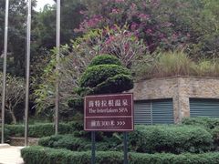 -深圳东部华侨城茵特拉根酒店