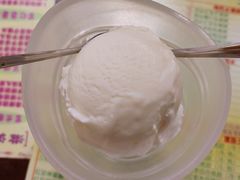 椰子雪糕-顺记冰室(宝华路店)