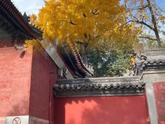 -承恩寺