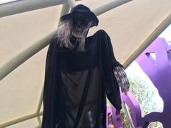 -幻彩摩天轮