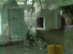 -青藏高原野生动物园