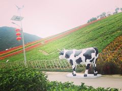 -东部华侨城