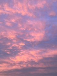 -丽心自助美甲美睫