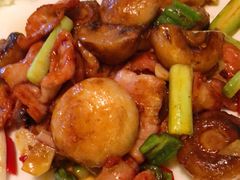 香煎口蘑脆爽肉-周三的情书花园餐厅(江北店)