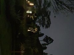 -白石龙音乐公园