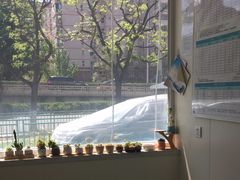 -美联众合动物医院·24h京西诊疗中心