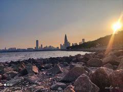 -深圳湾公园(南山区)