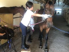 -松声马术俱乐部