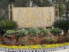 android_upload_pic-紫荆山公园