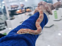 -上海昆虫博物馆