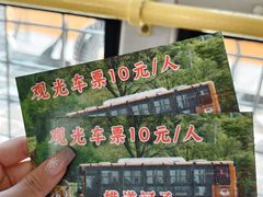 -横道河子东北虎林园