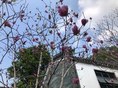 -广州神农草堂中医药博物馆