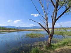 -野鸭湖国家湿地公园