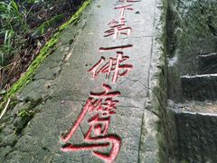 -大金鹰园