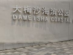 -大梅沙海滨公园