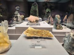 -湖南省地质博物馆