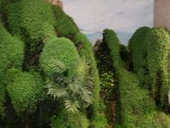 -海天一色海景自助餐厅(西港花园店)