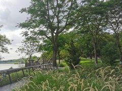 -海珠湖公园