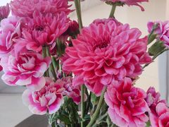 -微笑口腔(园区店)