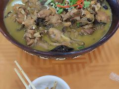-凤百年大骨鸡饭庄