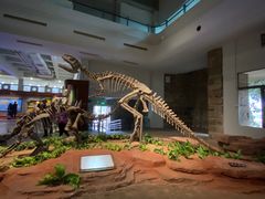 -自贡恐龙博物馆