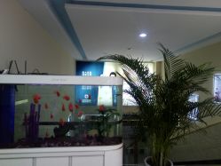 -成都军建医院·疤痕诊疗中心